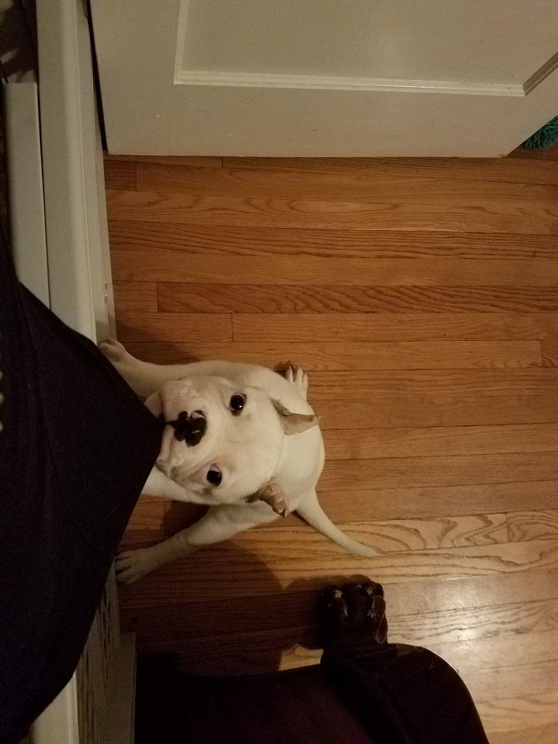 This is Kash not wanting me to leave the room. LOL