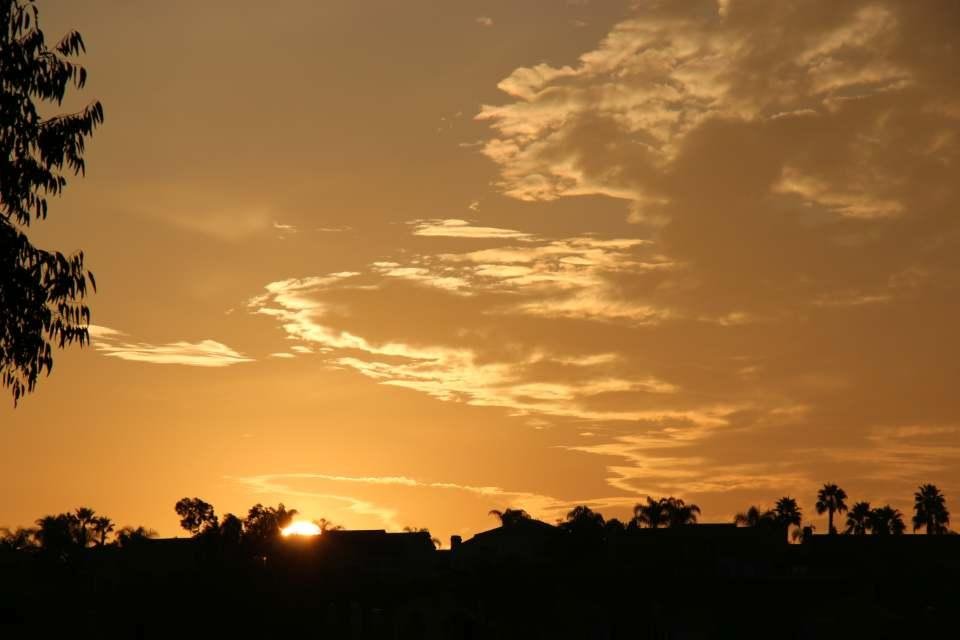 Sunrise "Looking out my back door"