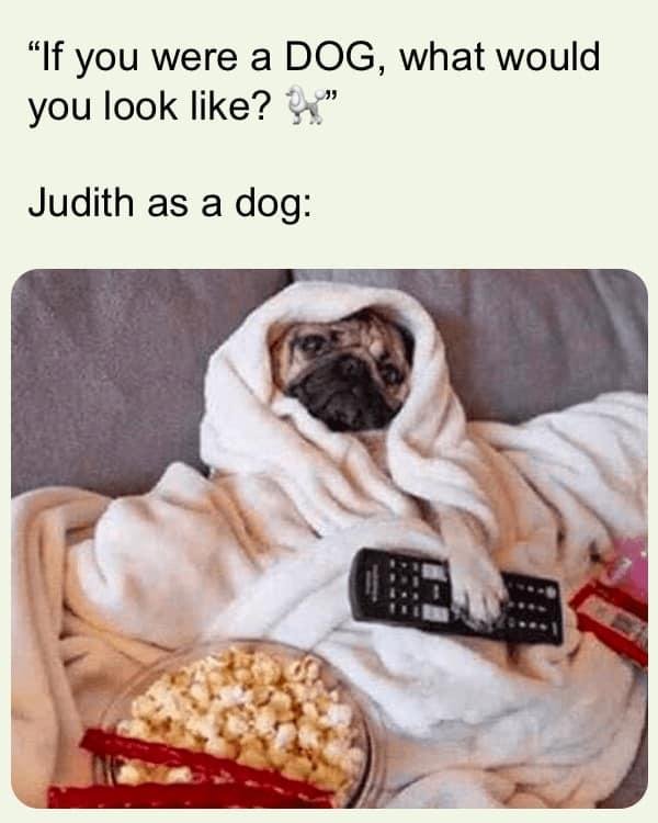 Judith Lynch's album, Timeline photos
