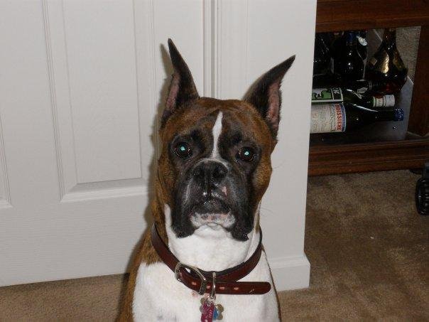 winston