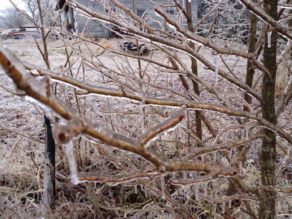 Glenwood Arkansas 2/2015