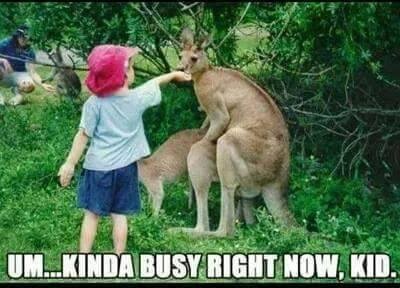 Bruce Guarnier's album, Timeline Photos