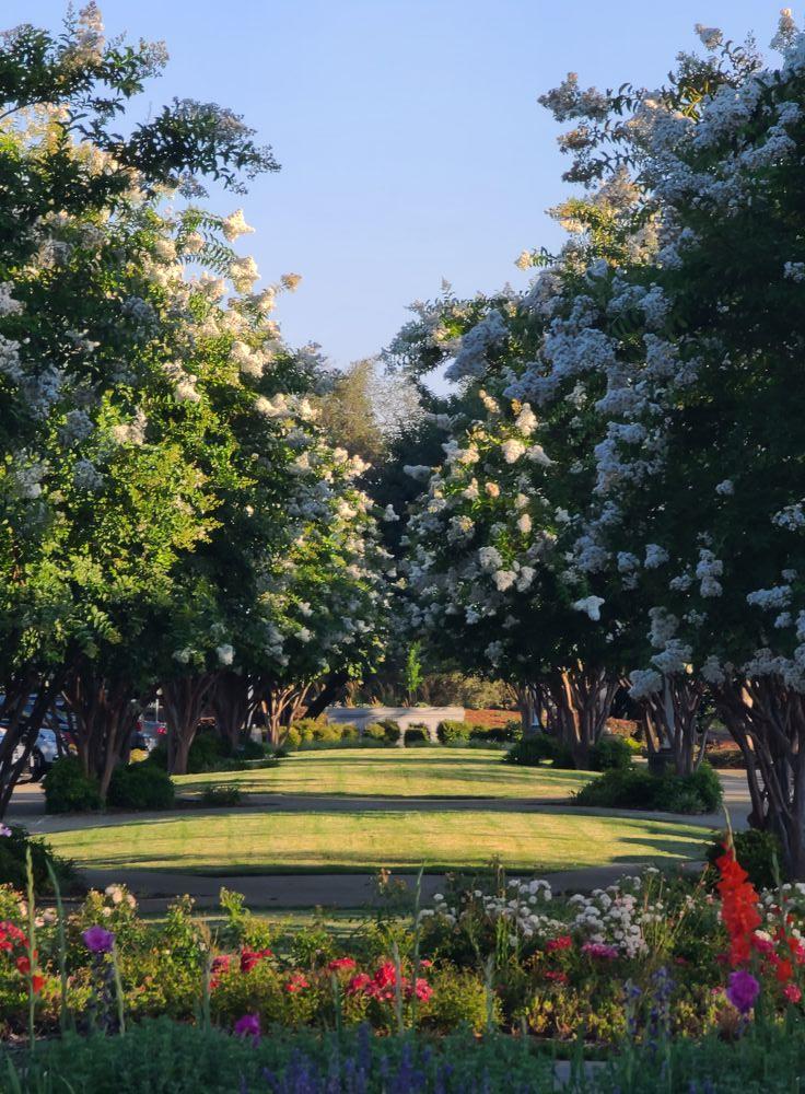Beautiful Day in Sacramento  ...