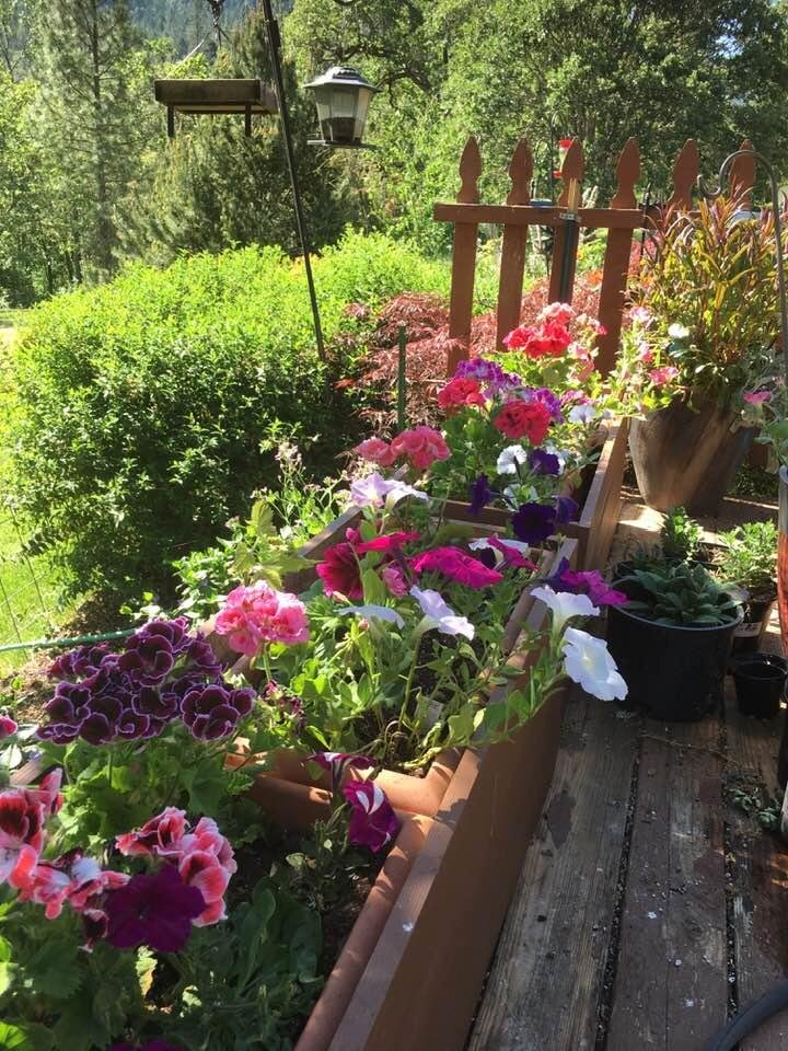 Susan Moses' album, Timeline Photos