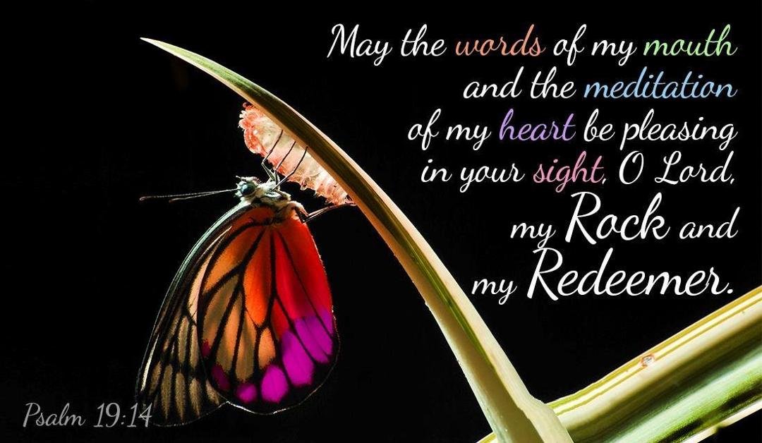 Amy Thomas' album, Timeline Photos
