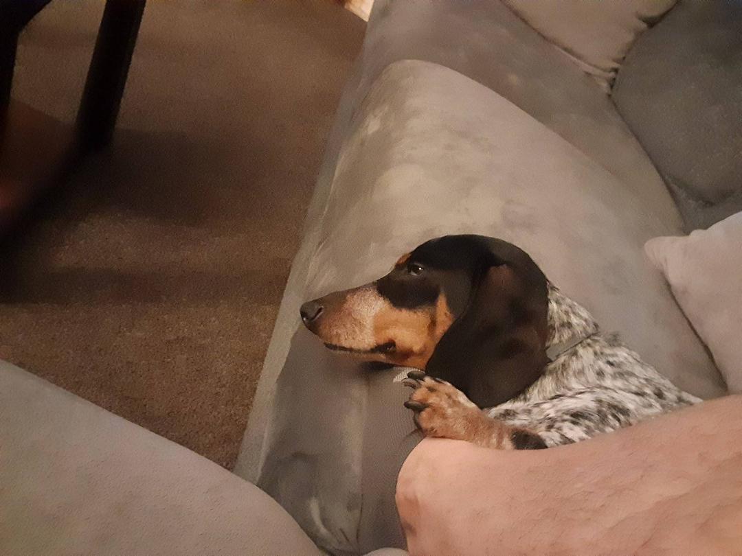 I'm Tater and I love this foot.
