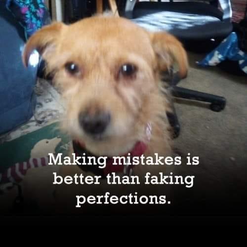 June Retherford's album, Timeline photos