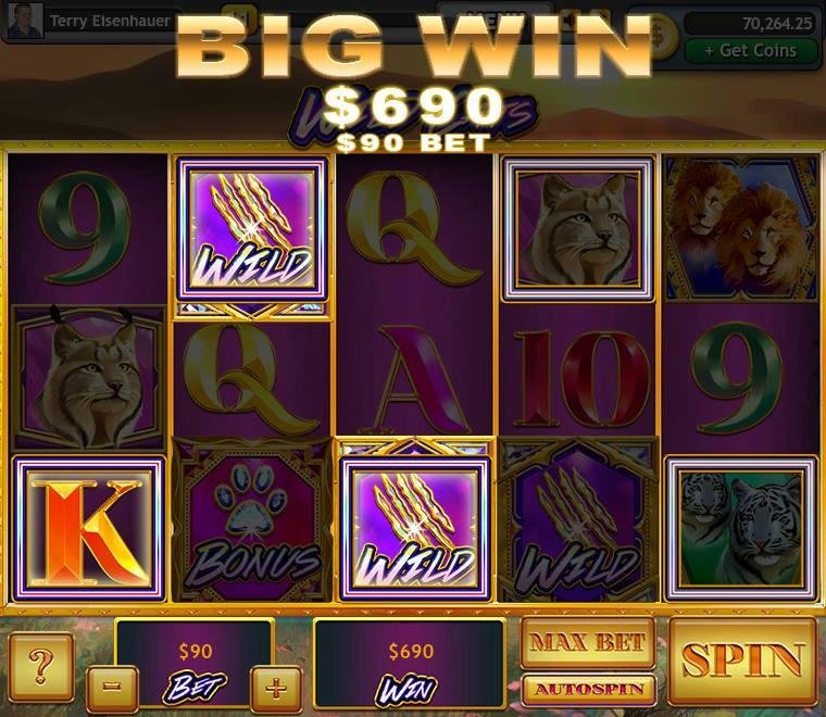 Terry Eisenhauer's album, Lucky Slots Photos