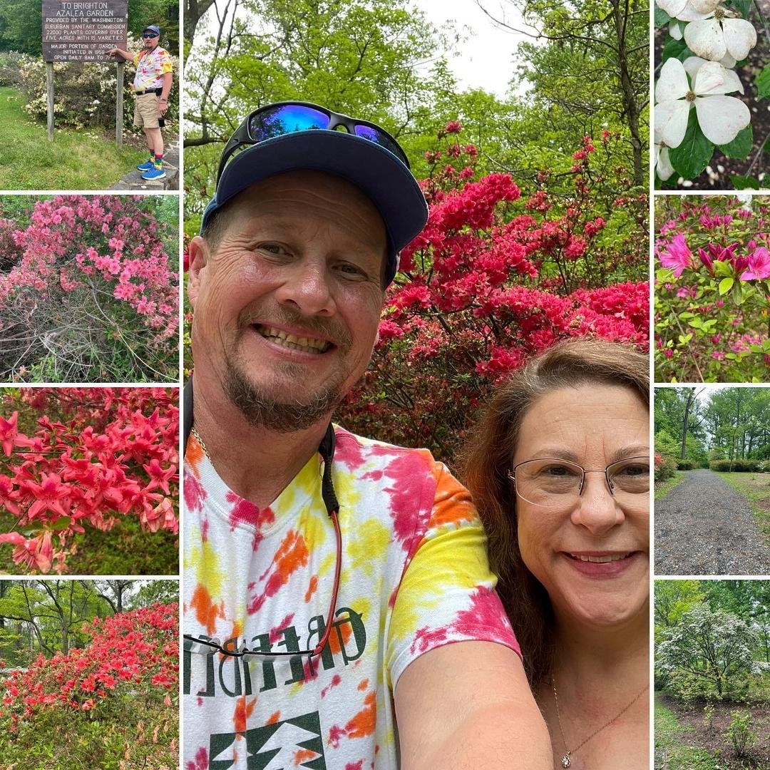 Brighton damn azaleas way past peak. Go two weeks earlier next year.