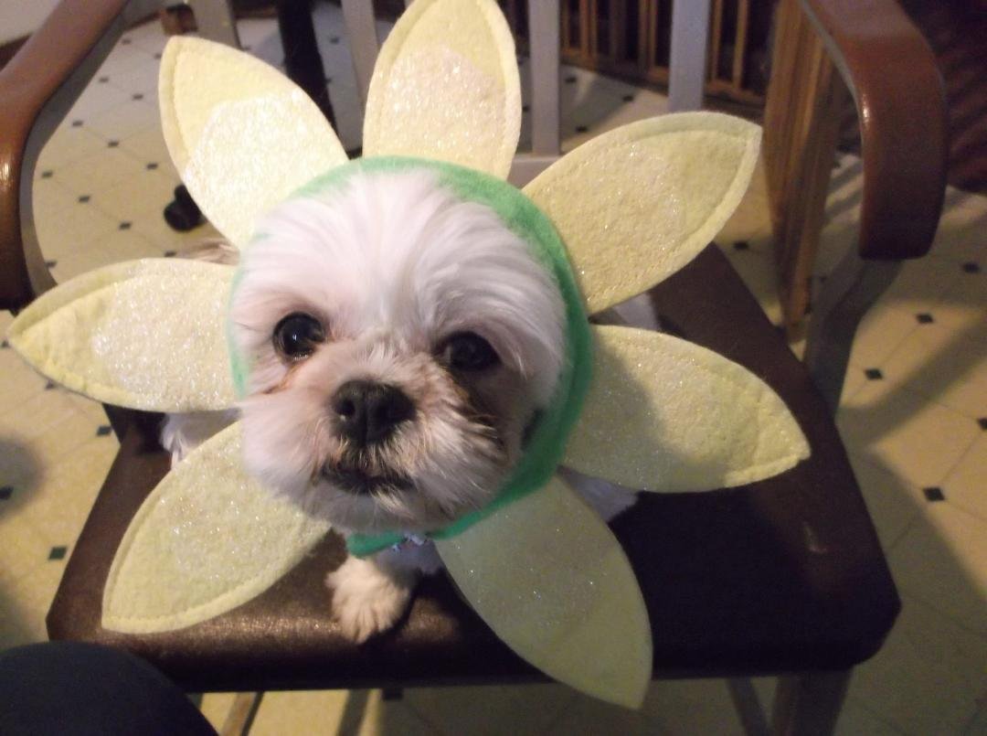 Who is that??? Why it's Miss Bitsy Boo