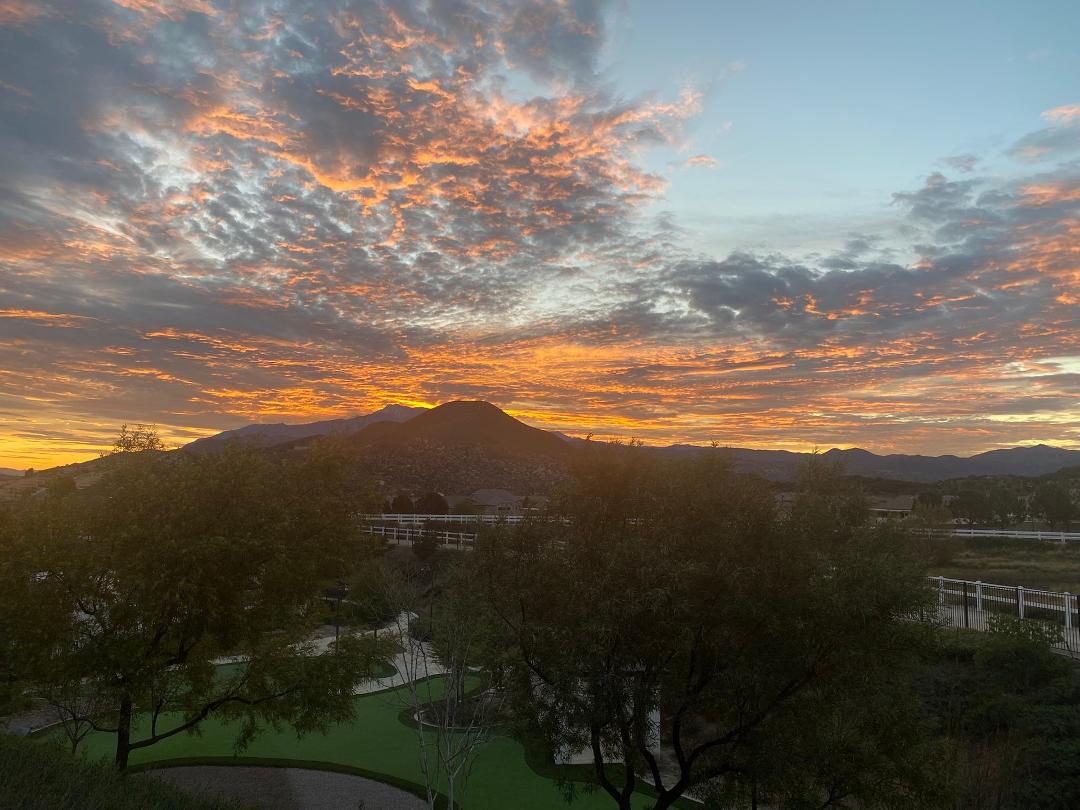 John Morgan's album, Mobile uploads