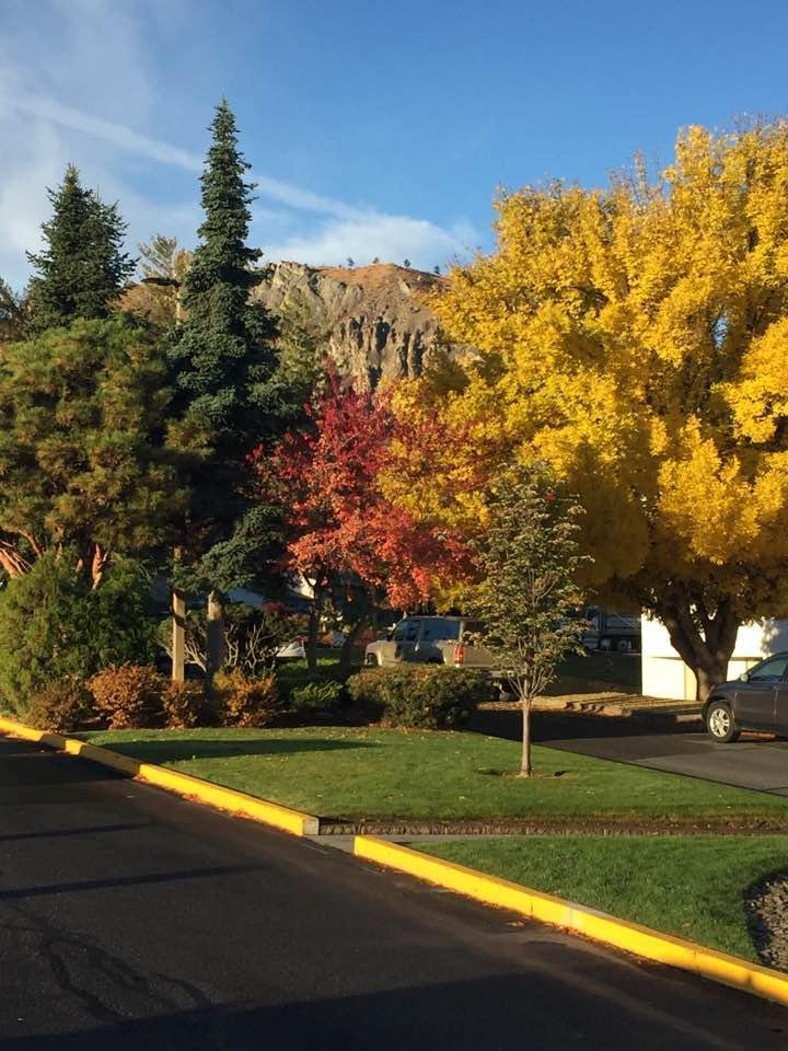 Beautiful Fall colors as I came out the front door of the hospital yesterday.