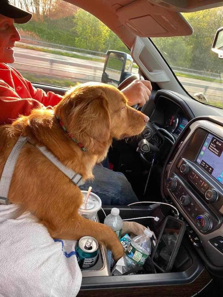 Redd is following GPS for us! How we ever got around before him....I can’t be sure! 🐶🚙