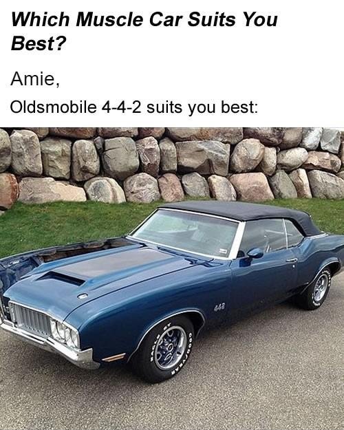 Amie Mitchell's album, Timeline Photos