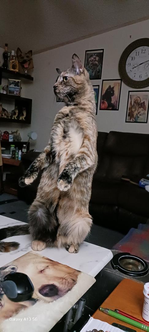 Torti sitting up she heard something