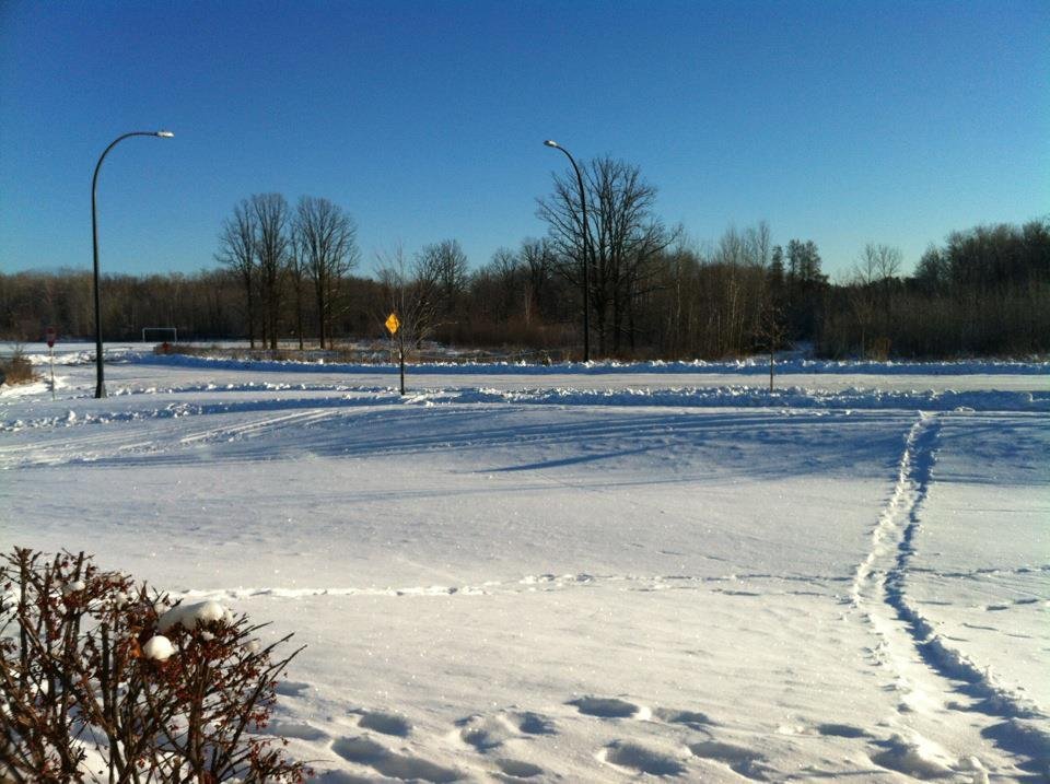 -11 degrees ...brrrrr