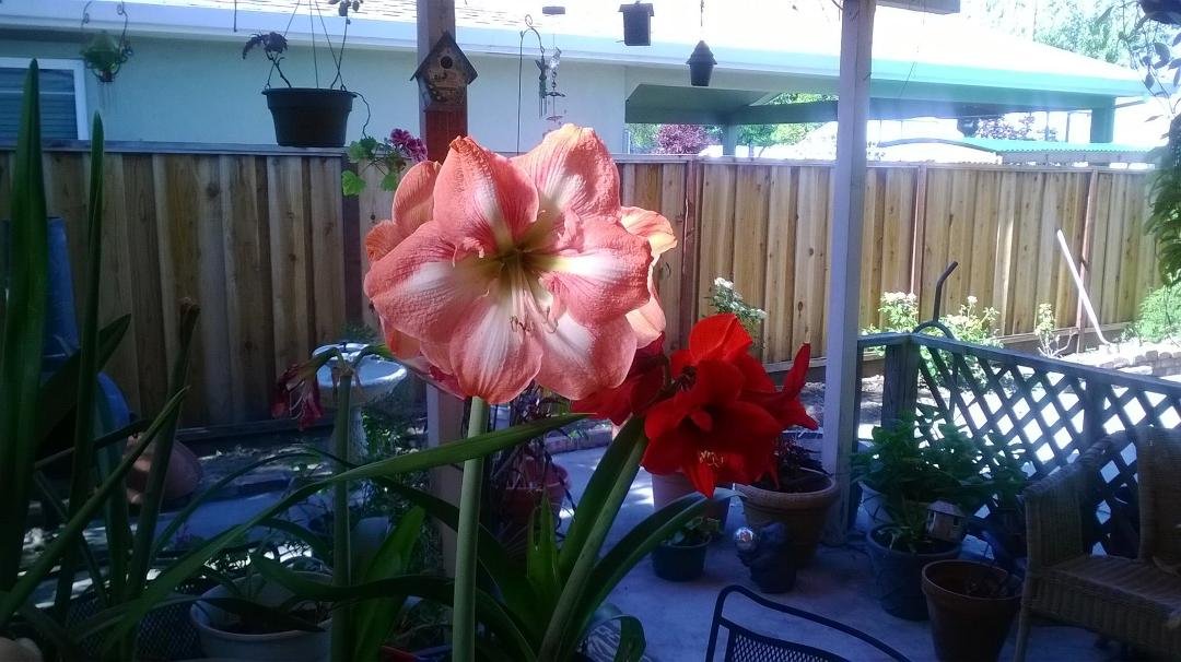 Terry Ellis' album, Timeline Photos