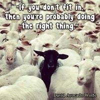 Robert Brown's album, Timeline Photos