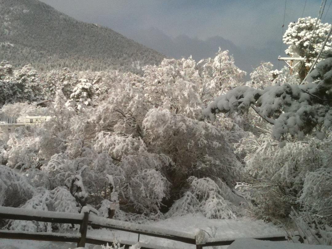 Estes Park, CO 4/24/11 and still snowing! It's beautiful, but soo cold :)