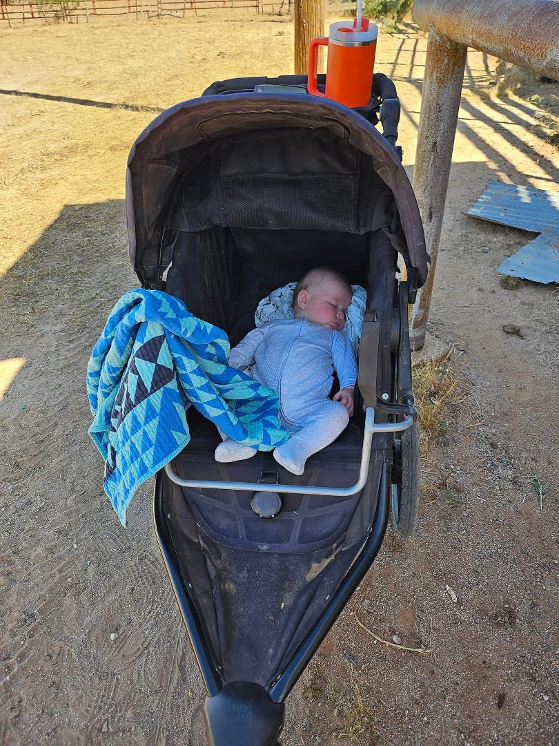 Winding up the day in the shade it's one future cowboy and he is the cutest easiest going tiny cowboy ever!!