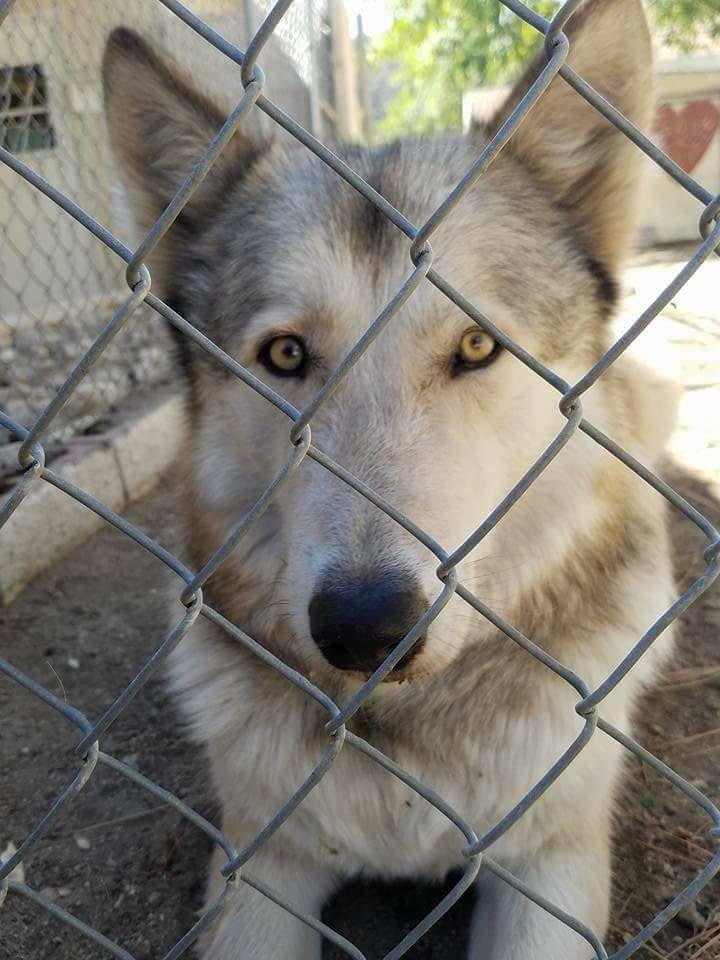Melanie Phelps' album, Timeline Photos