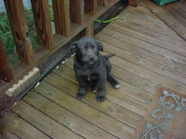 Doug Bruce's album, Timeline photos