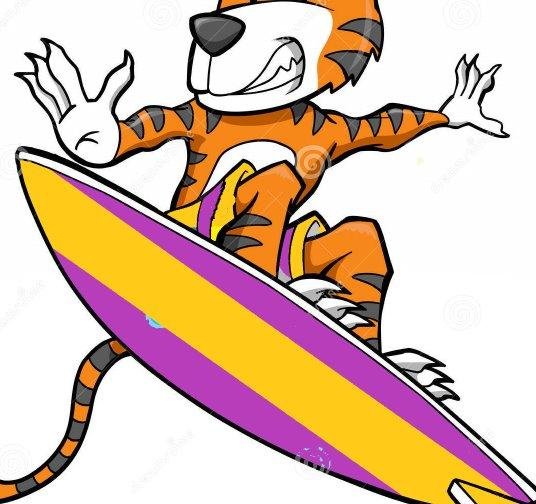 WAX YOUR BOARD and GET READY FOR REAL BIG WAVE
SURF UP