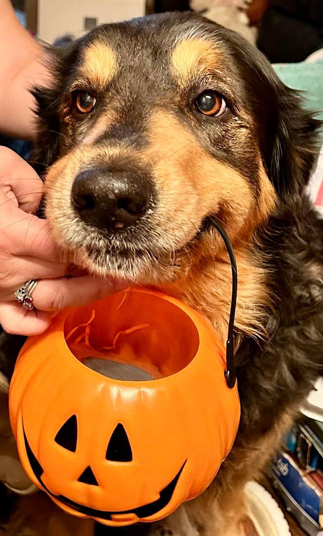 Happy Halloween!