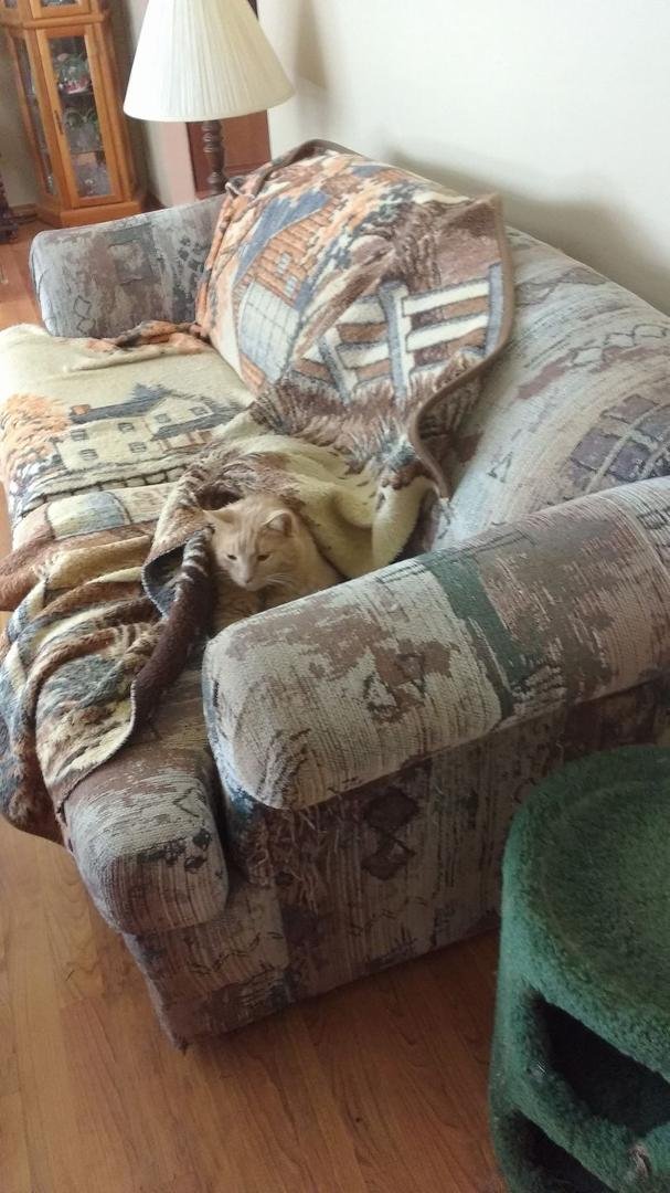 I think somebody is cold-he was outside; covered himself up.