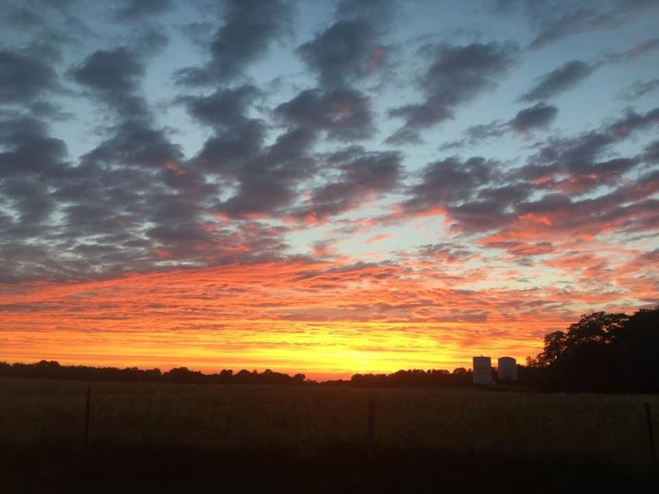 For Mr. Havlick from a field in Ohio.