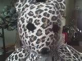 Dave Linstrot's album, Michele's Bears