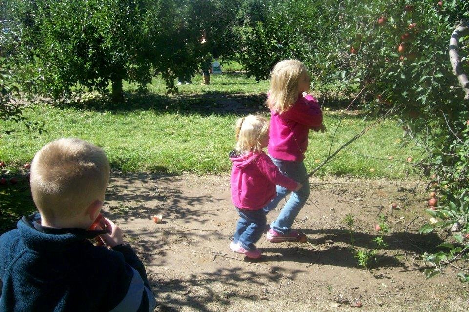 Carl Harrison's album, Apple Picking 2011