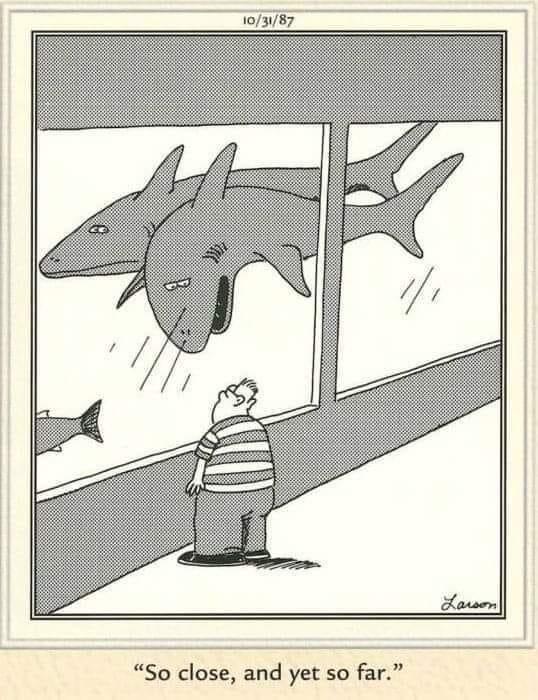 As a young child, I was often taken to a variety of places, and left all alone; sometimes for many hours. This typical day, at a local large aquarium, reinforced my (then) fear of going into the water, 'cause, SHARKS! :O