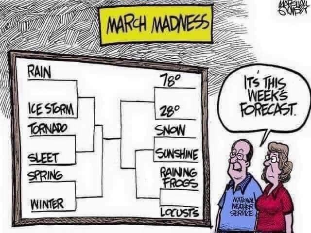 Happy 82nd birthday Norm. Hope your sky is full of 5 knot thermals to the sun.
Meanwhile, here in Kansas, it is spring, the time when KU fans hope that the Jayhawks ( Rock Chalk Hawk!!!) make it to the final four. Not this