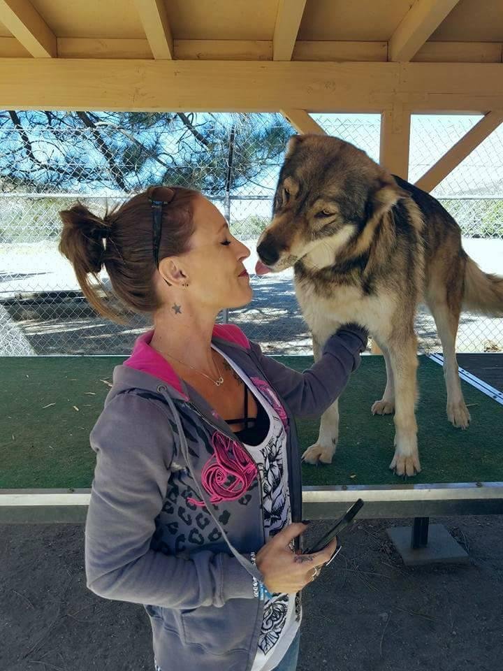 Melanie Phelps' album, Timeline Photos