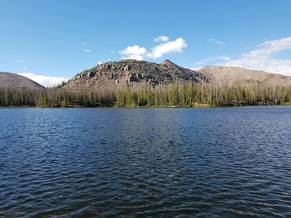 Betsy lake