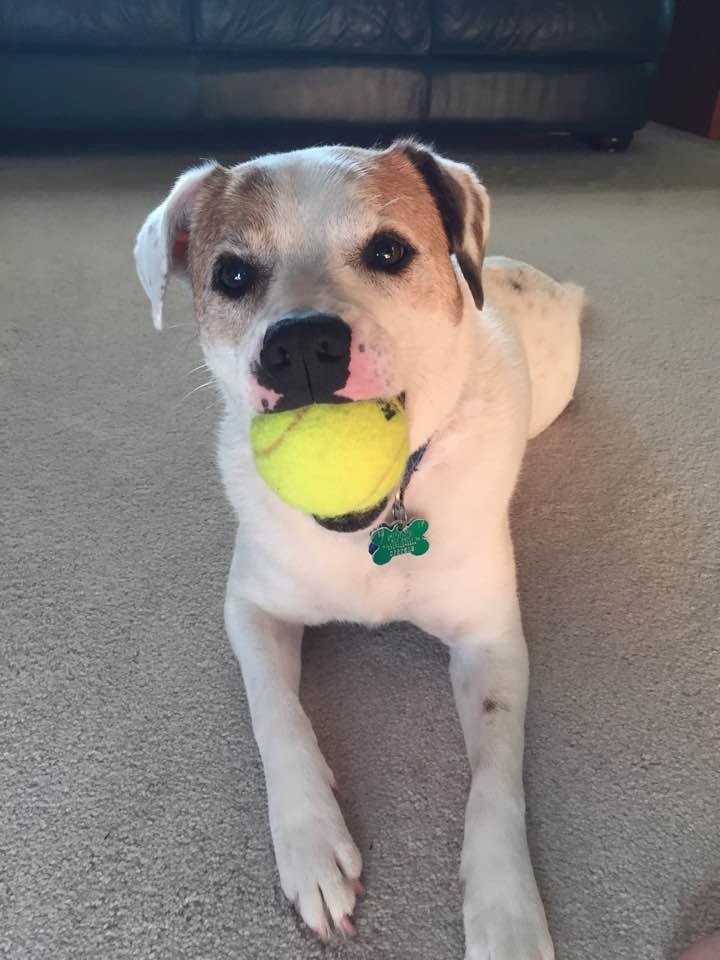 Sometimes all a girl needs is her favorite ball.