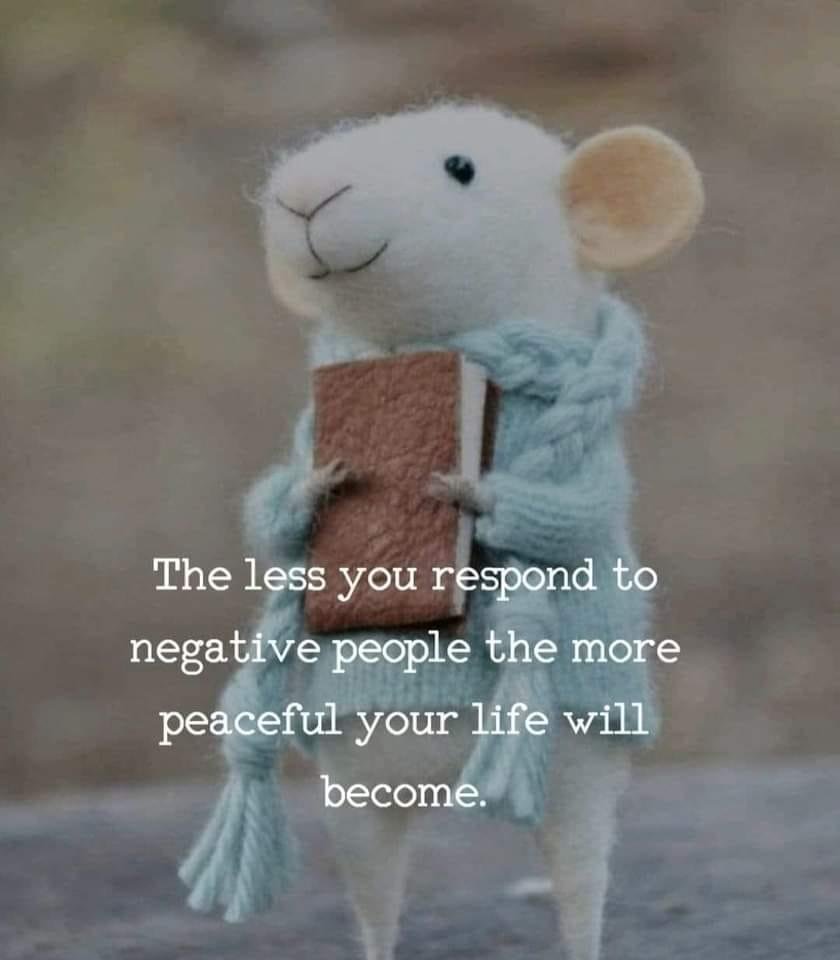 Sandra Claybrook's album, Timeline photos