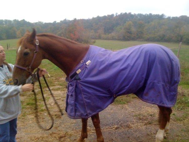 this is my wonderful old man Rafik....