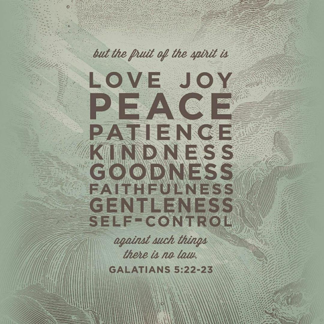 Starr Adams' album, Timeline Photos