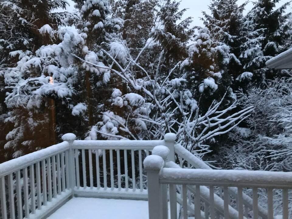 Our back yard, Jan 1st