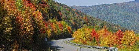Phyllis Hoffman's album, Timeline Photos