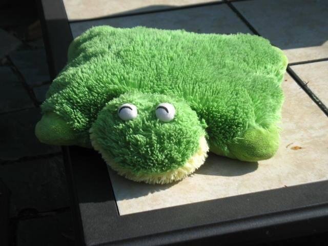 FOUND this Pillow Pets Pee-Wee along Aviation Road, across from Queensbury School tennis courts, Friday a.m., May 29. Does this little critter look familiar to anyone? I hate to think some poor kid is missing a bestie.