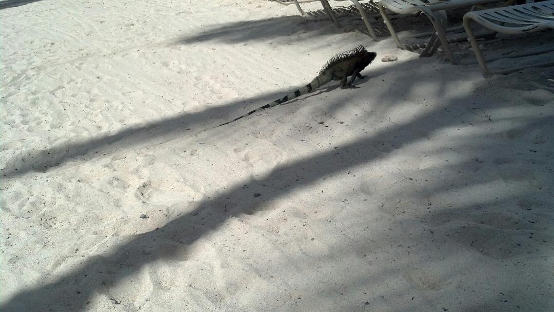My new friend