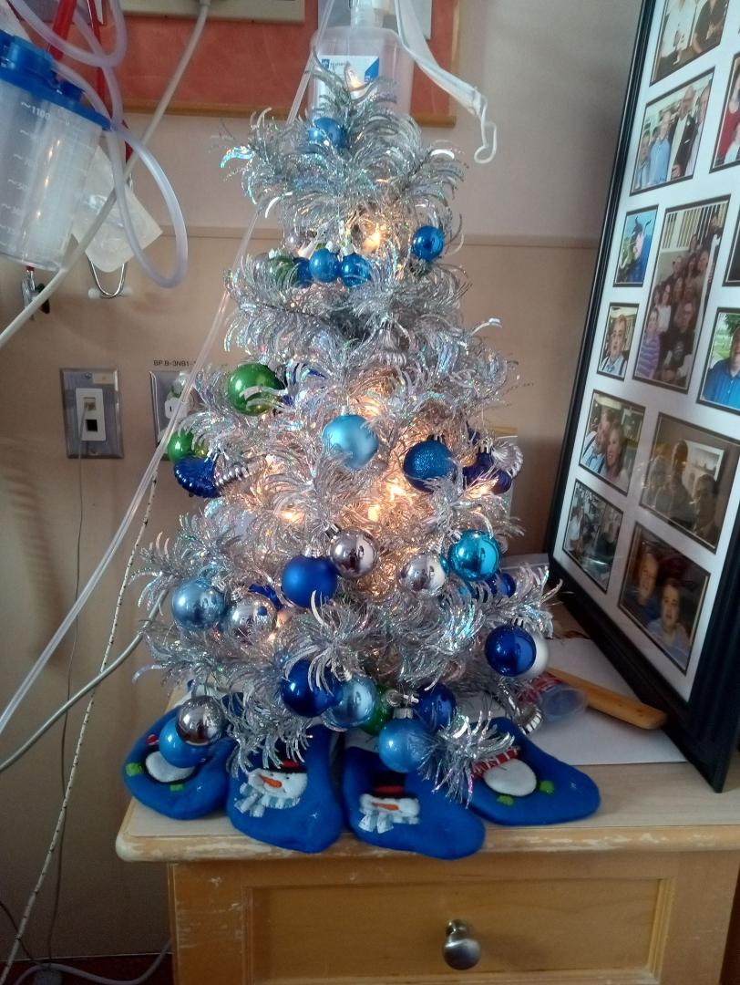 merry Christmas tree decorations from my sister thank you