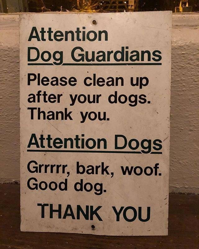 Rob Winograd's album, Timeline Photos