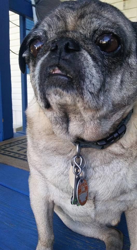 George on watch