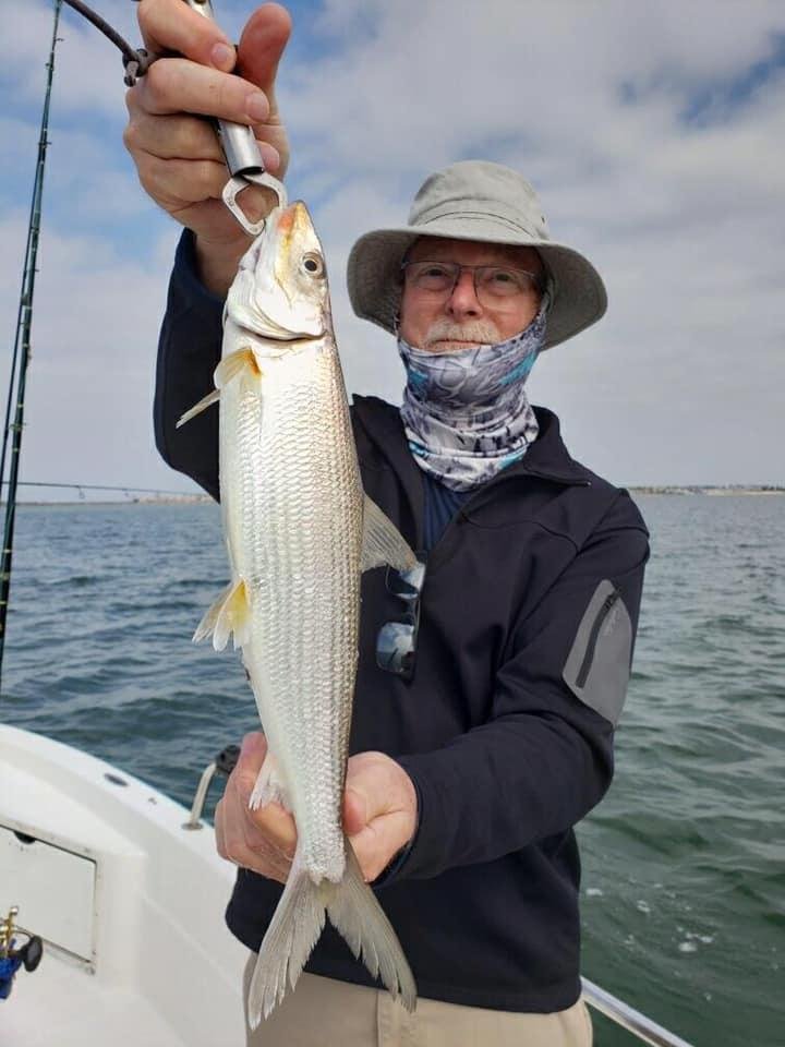 Michael Harmon's album, Mobile Uploads