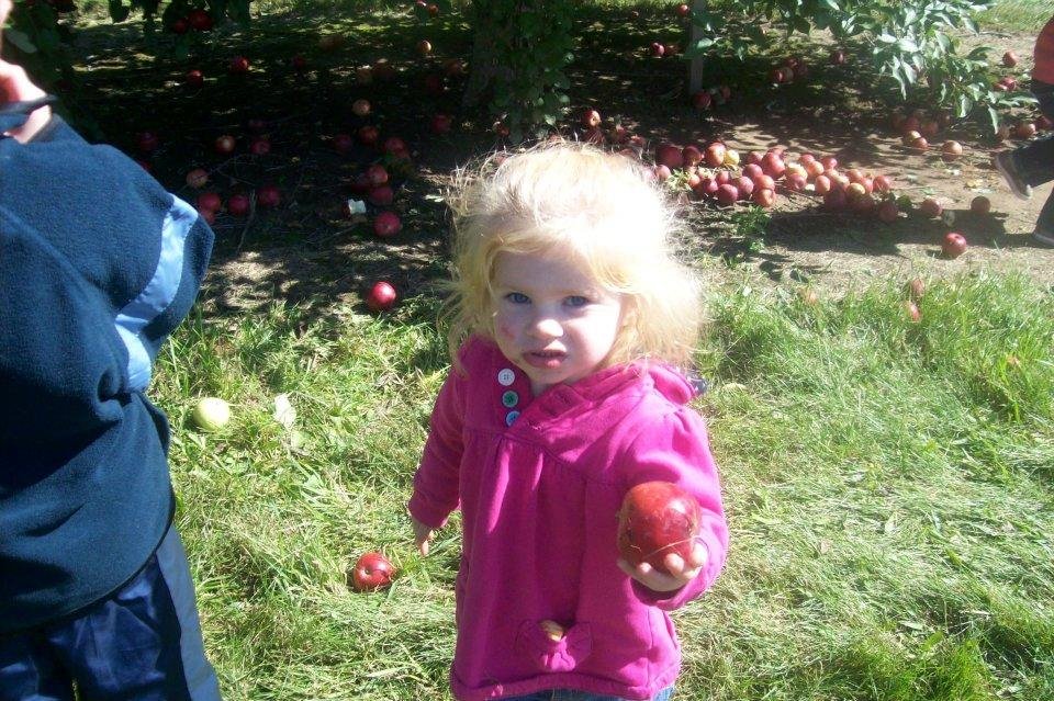 Carl Harrison's album, Apple Picking 2011