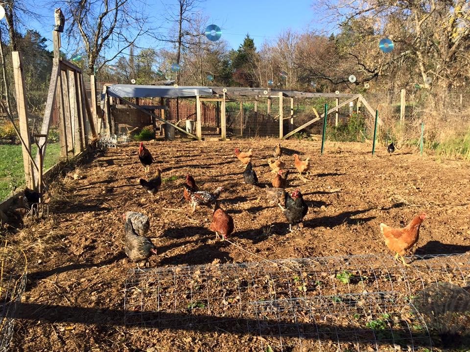 Fall garden fertilizer.